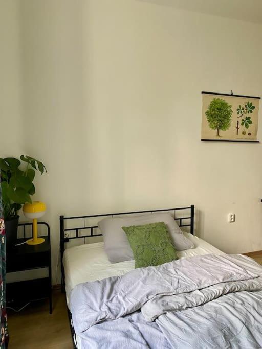 Apartment Cute Botanical Flat Near By Zizkov Tower