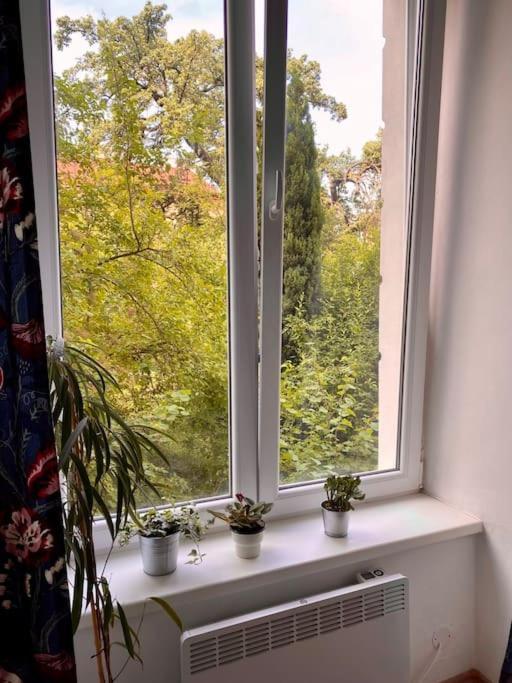 Apartment Cute Botanical Flat Near By Zizkov Tower *