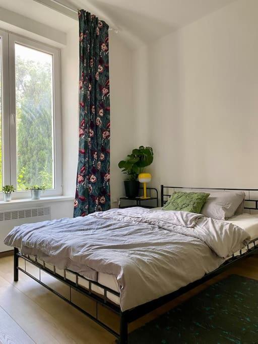 Cute Botanical Flat Near By Zizkov Tower Apartment Prague