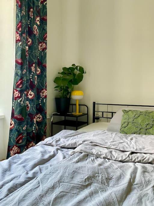 Cute Botanical Flat Near By Zizkov Tower Appartement